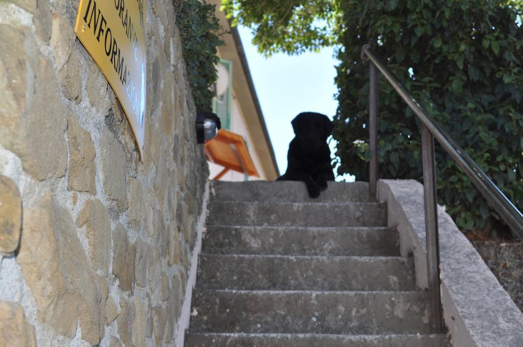 Agriturismo Il Cerrosughero Villa Scarlino Ngoại thất bức ảnh