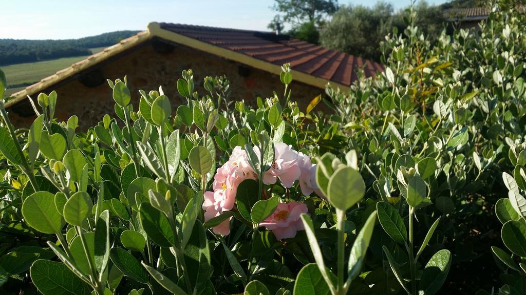 Agriturismo Il Cerrosughero Villa Scarlino Ngoại thất bức ảnh